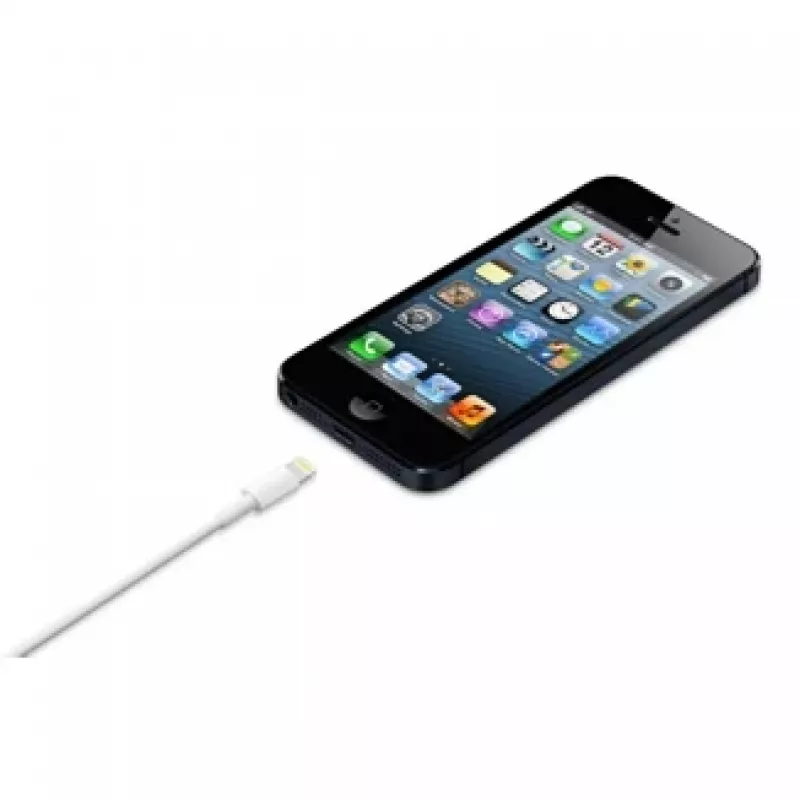 APPLE Lightning na USB kabel (0.5 M)