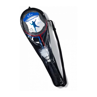 Badmintonové sady