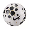 Nike Control 25 Size 5 Soccer Ball White/Black HV4395 100