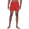 Nike Essential 5 Men's Swim Shorts Red NESSF560 614 Size M