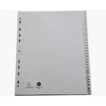 Registr Exacompta 2931E A4 Maxi 1-31, šedý