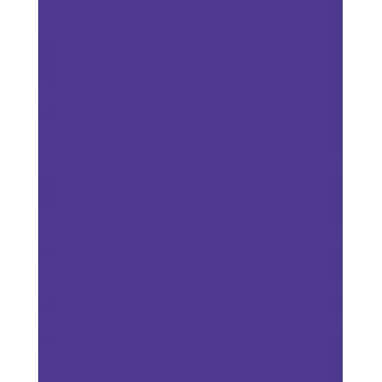 Folia 614/50 32 - Violet - Solid Color - A4 (210 x 297 mm) - 300 g/m² - 50 Sheets - Germany