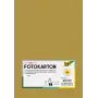 Folia 614/50 65 - zlatá - jednobarevná - A4 (210 x 297 mm) - 300 g/m² - matná - 50 listů