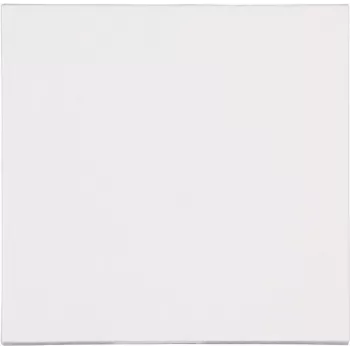 Heinrich Kopp 490029008 Wall Plate, White, Conventional, Universal