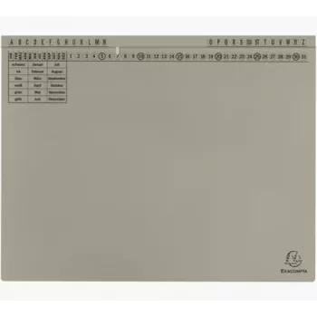 Exacompta 371110B Konvenční zakládací desky - karton - šedá - 320 g/m² - 265 x 316 mm