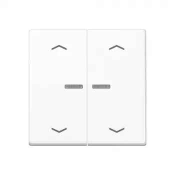 JUNG Home tlačítko 2násobné Bluetooth AS 17102 P WW