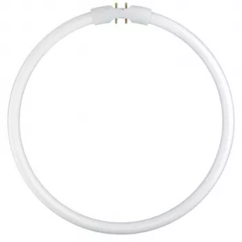 Osram kruhová zářivka T5 FC22W 840 2GX13