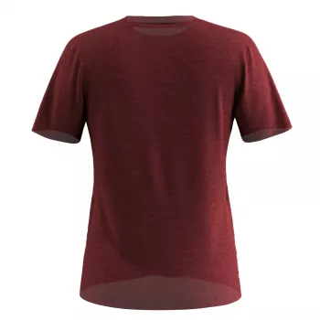 Women's Shirt Salewa Eagle Eitd AM T-Shirt