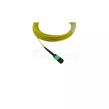 BlueOptics Cisco CB-M12-M12-SMF30M MPO na MPO jednovidový vláknový patch kabel 30m