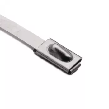 HellermannTyton 111-93088 Stainless Steel Cable Tie with PA11 Coating, 201 mm Length, 4.6 mm Width, 0.3 mm Thickness, 50 mm Bundle Diameter, Metallic/Silver, Pack of 100