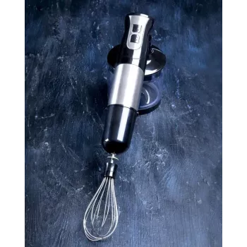 Gastronoma 18210001 Hand Blender, 1000 W, Black/Silver