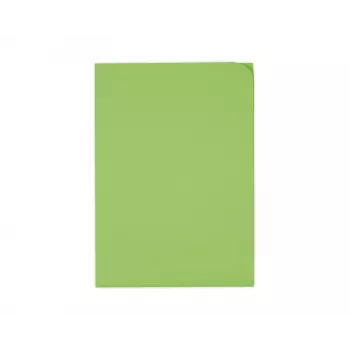 ELCO Ordo Discreta Organisation Folder A4, 220 x 310 mm, 120 g/m², Intense Green, 100 pcs (29466.62)