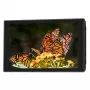 Portkeys HD7T 7 inch 2200 cd/m² IPS monitor na kameru s 3D LUT