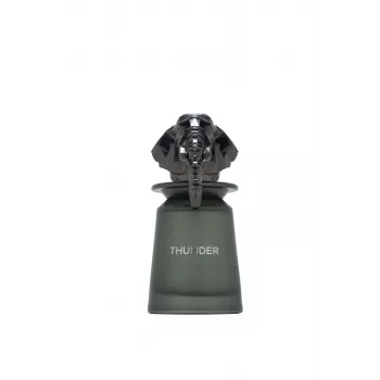 FRENCH AVENUE Thunder Eau de Parfum Spray 100ml