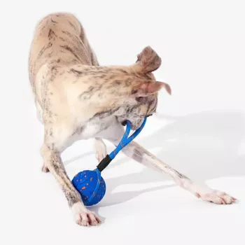 Cheerble Wicked Ball Air Rope Dog Toy, Royal Blue