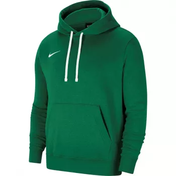 Pánská mikina s kapucí Nike Team Club 20 Pine Green/bílá
