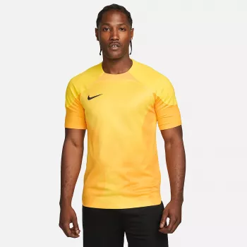 Pánský brankářský dres Nike Dri-FIT ADV Gardien IV Opti Yellow/Black M