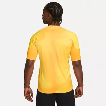 Pánský brankářský dres Nike Dri-FIT ADV Gardien IV Opti Yellow/Black M