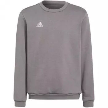 Mikina adidas Entrada 22 Sweat Top dětská šedá H57477 (116 cm)