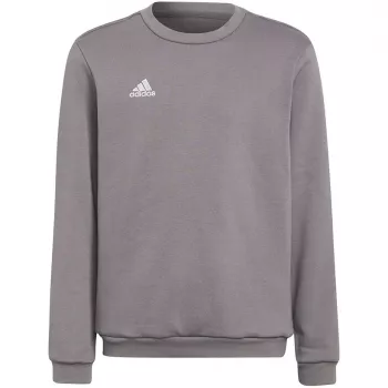 Mikina adidas Entrada 22 Sweat Top dětská šedá H57477 (116 cm)