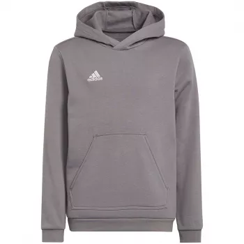 adidas Entrada 22 Hoody Kids' Sweatshirt Grey 116 cm
