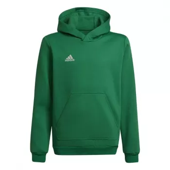 Dětská mikina s kapucí adidas Entrada 22 zelená 116 cm