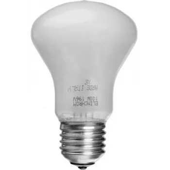 Elinchrom Modeling Lamp 100 W 196 V E27, 3200 K (EL-23002)