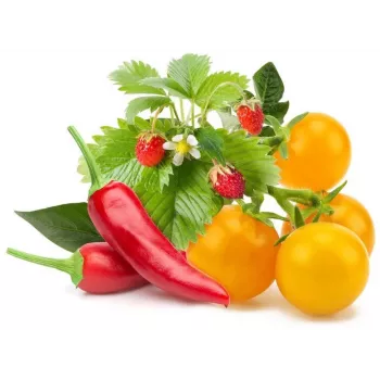 Click & Grow Fruit and Veggie Mix Plant Pods for Smart Garden, 9-Pack (PPMFVX9)