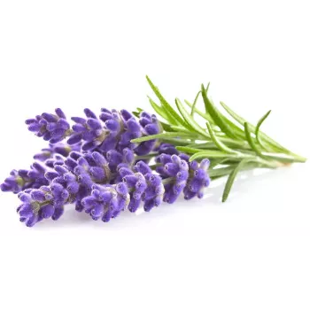 Click & Grow Smart Garden Refill Lavender, 3 plant pods (SGR30X3)