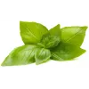 Click & Grow Lemon Basil Plant Pods for Smart Garden, 3-Pack (SGR76X3)