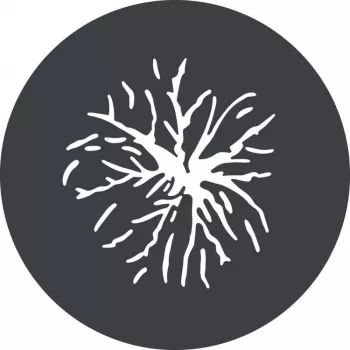 Godox GP GS2 sada gobo pro GP projekční nástavec (6 vzorů) - nerezová ocel, 66mm