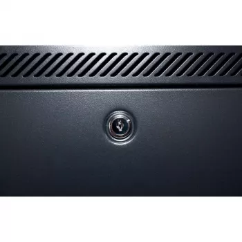 DSIT DS6604M 4U Wall-Mount Server Cabinet with Metal Door, 600 x 600 x 280 mm, Black