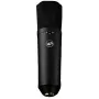 Velkomembránový kondenzátorový mikrofon Warm Audio WA-87 R2 BL – nikl