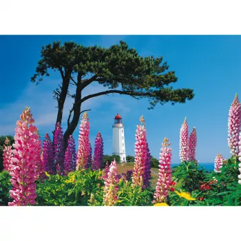 Schmidt Spiele Dornbusch Lighthouse, Hiddensee 1000-Piece Jigsaw Puzzle