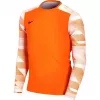 Brankářská mikina Nike Dry Park IV JSY LS GK Junior, oranžová, CJ6072 819, XS