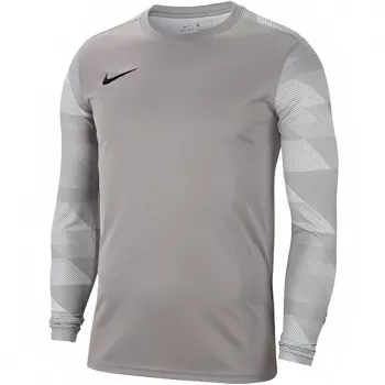 Brankářská mikina Nike Dry Park IV JSY LS GK Junior, šedá, CJ6072 052, XS