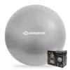 Gymnastický míč SCHILDKROT 65 cm stříbrný Anti-Burst 960156
