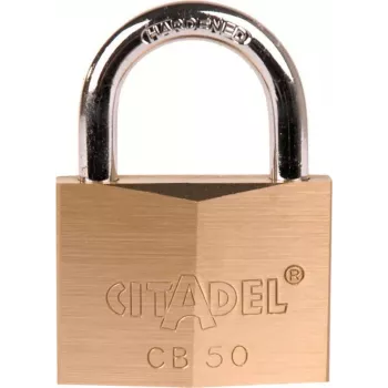 Visací zámek ABUS 60mm z masivní mosazi s kaleným ocelovým ramenem, 2 klíče (238420)