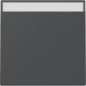 Přepínač Gira System 55 Anthracite Matt 329928
