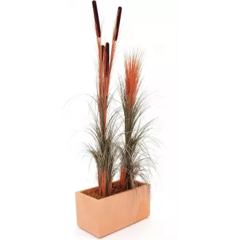 Umělé orobince s palicemi EUROPALMS, světle hnědé, 152 cm 82505856