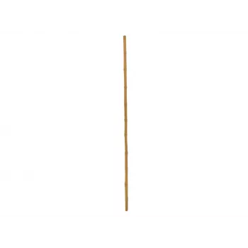 EUROPALMS bambusová tyč, Ø 3 cm, délka 200 cm 83313200
