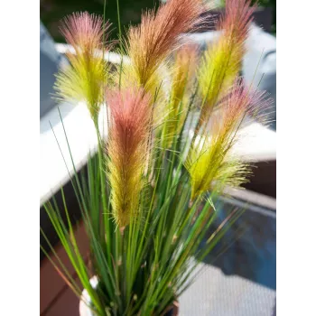 EUROPALMS Feather Grass, Artificial, Rosé, 90cm 82505865