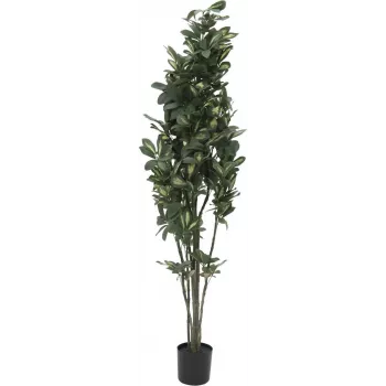 Umělá rostlina Schefflera EUROPALMS, 120 cm, zelená 82600157