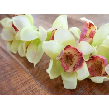 Umělá větvička orchideje Cymbidium EUROPALMS, zelená, 90 cm 82530313