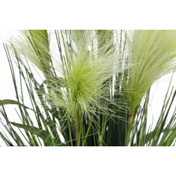 Umělá rostlina pérová tráva EUROPALMS, bílá, 60 cm 82505864