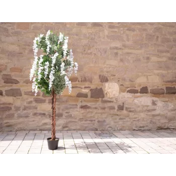 EUROPALMS Artificial Golden Chain Tree, White Flowers, 180cm 82507106