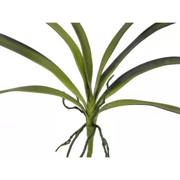 Umělý list orchideje EUROPALMS (EVA), zelený, 45 cm 82530574