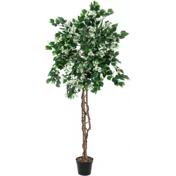 Umělá rostlina EUROPALMS Bougainvillea, bílá, 180 cm 82507086