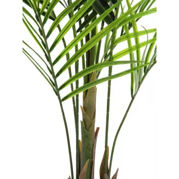 Umělá rostlina EUROPALMS velkolistá areka, 165 cm 82509441