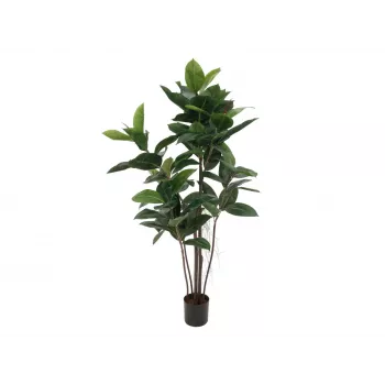 Umělá rostlina EUROPALMS gumovník, 120 cm 82600150